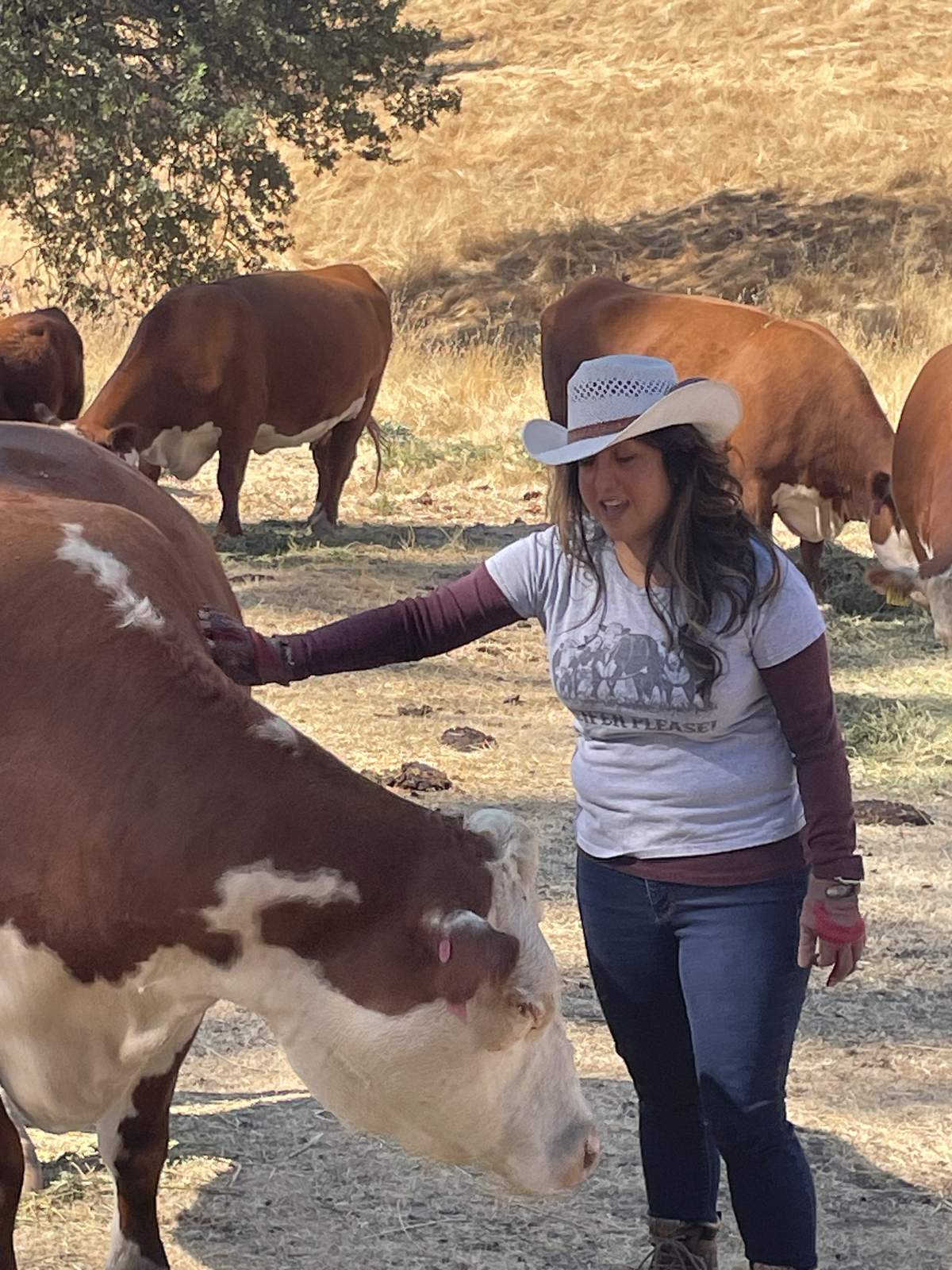 A Summers family member with one of the Herefords
